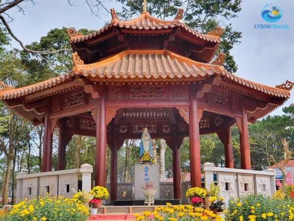 Tour du lịch măng đen 1 ngày tại Quảng Ngãi