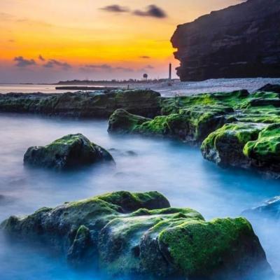 Tour du lịch lý sơn 3 ngày 2 đêm từ Hà Nội & từ TP.HCM