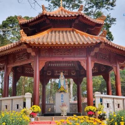 Tour du lịch măng đen 1 ngày tại Quảng Ngãi