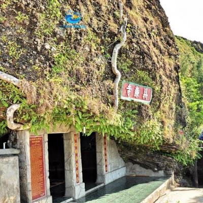 Du lịch Lý Sơn TẾT NGUYÊN ĐÁN 3 ngày 2 đêm - Xem lễ hội đua thuyền TỨ LINH