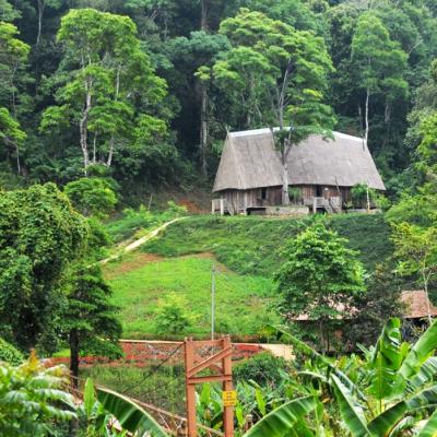 Tour du lịch măng đen 1 ngày tại Quảng Ngãi