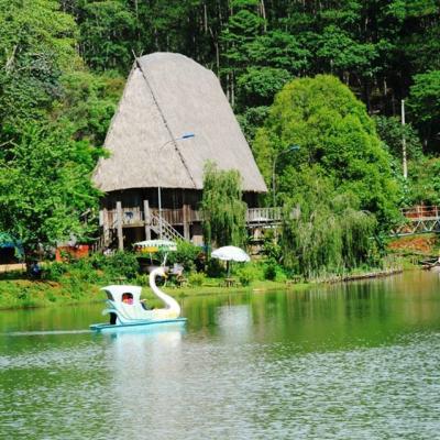 Tour du lịch măng đen 1 ngày tại Quảng Ngãi