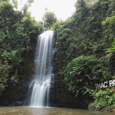 Tour du lịch măng đen 1 ngày tại Quảng Ngãi